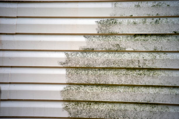 Best Yard Waste Removal  in Ogden, IA