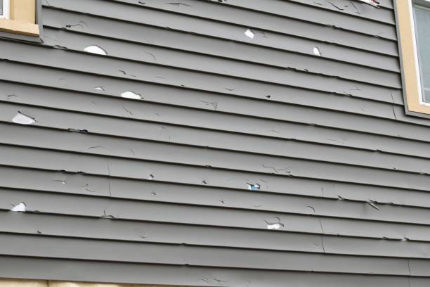 Best Scrap Metal Removal  in Ogden, IA