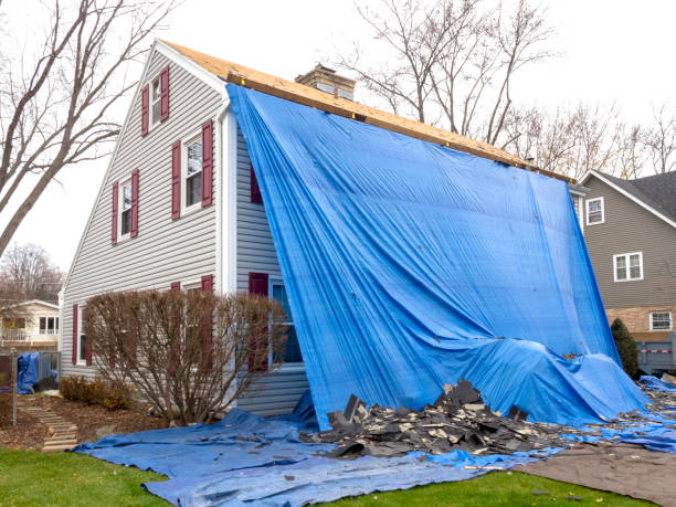 Best Retail Junk Removal  in Ogden, IA